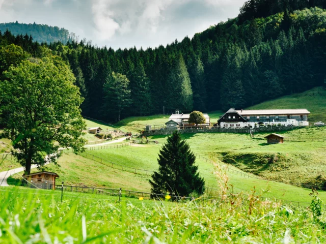 Hochsteinalm